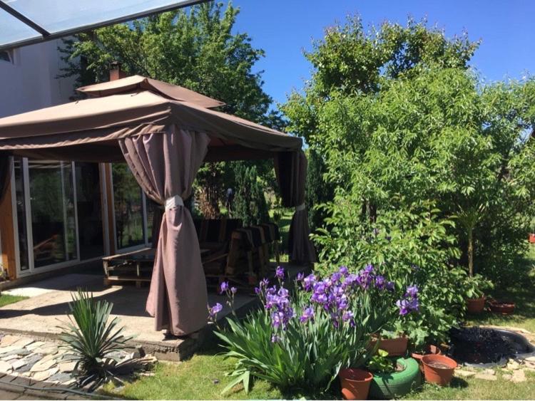 Къща Ивона Apartment Sapareva Banya Luaran gambar